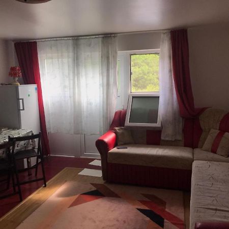 Appartement Garsoniera Lazaroiu à Băile Govora Extérieur photo