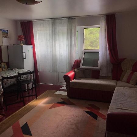Appartement Garsoniera Lazaroiu à Băile Govora Extérieur photo