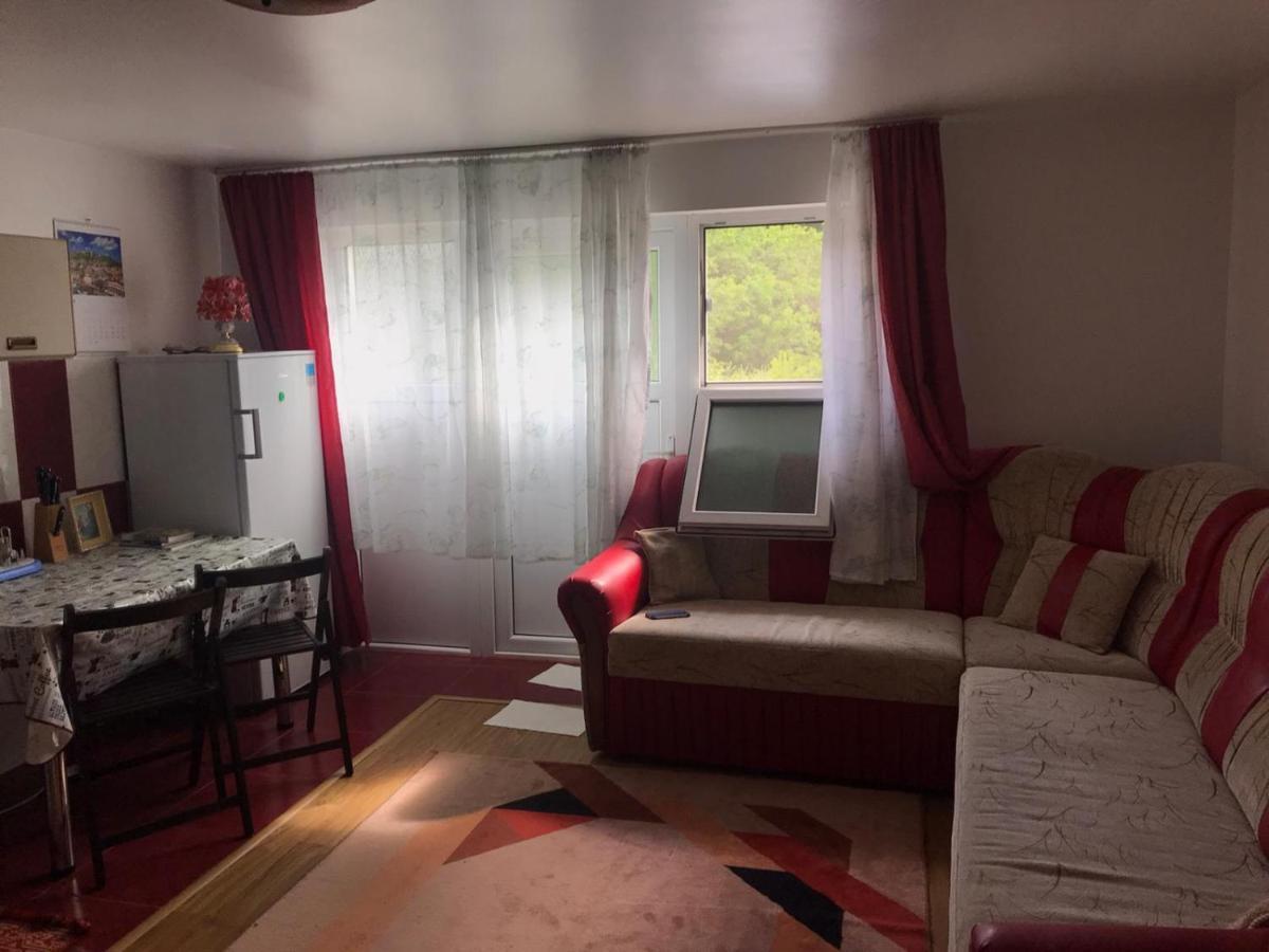 Appartement Garsoniera Lazaroiu à Băile Govora Extérieur photo