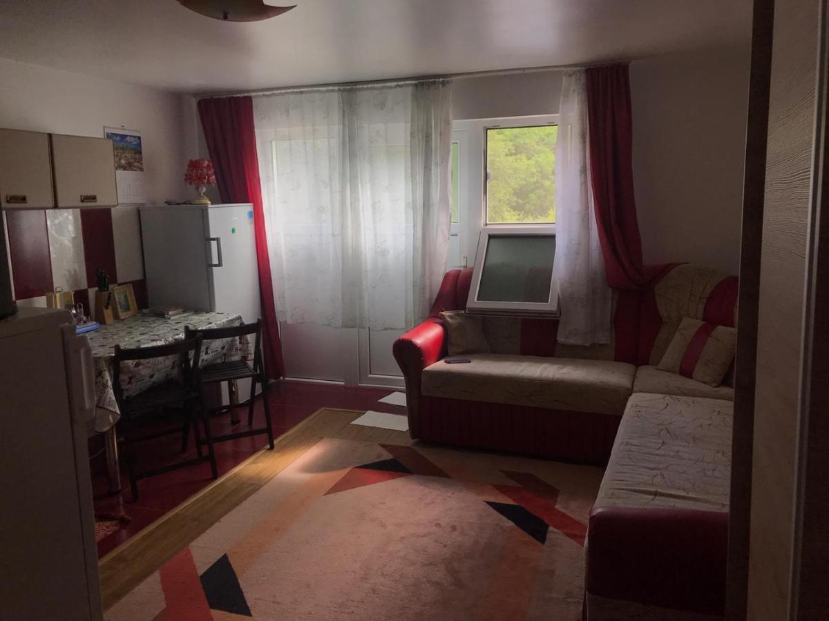 Appartement Garsoniera Lazaroiu à Băile Govora Extérieur photo