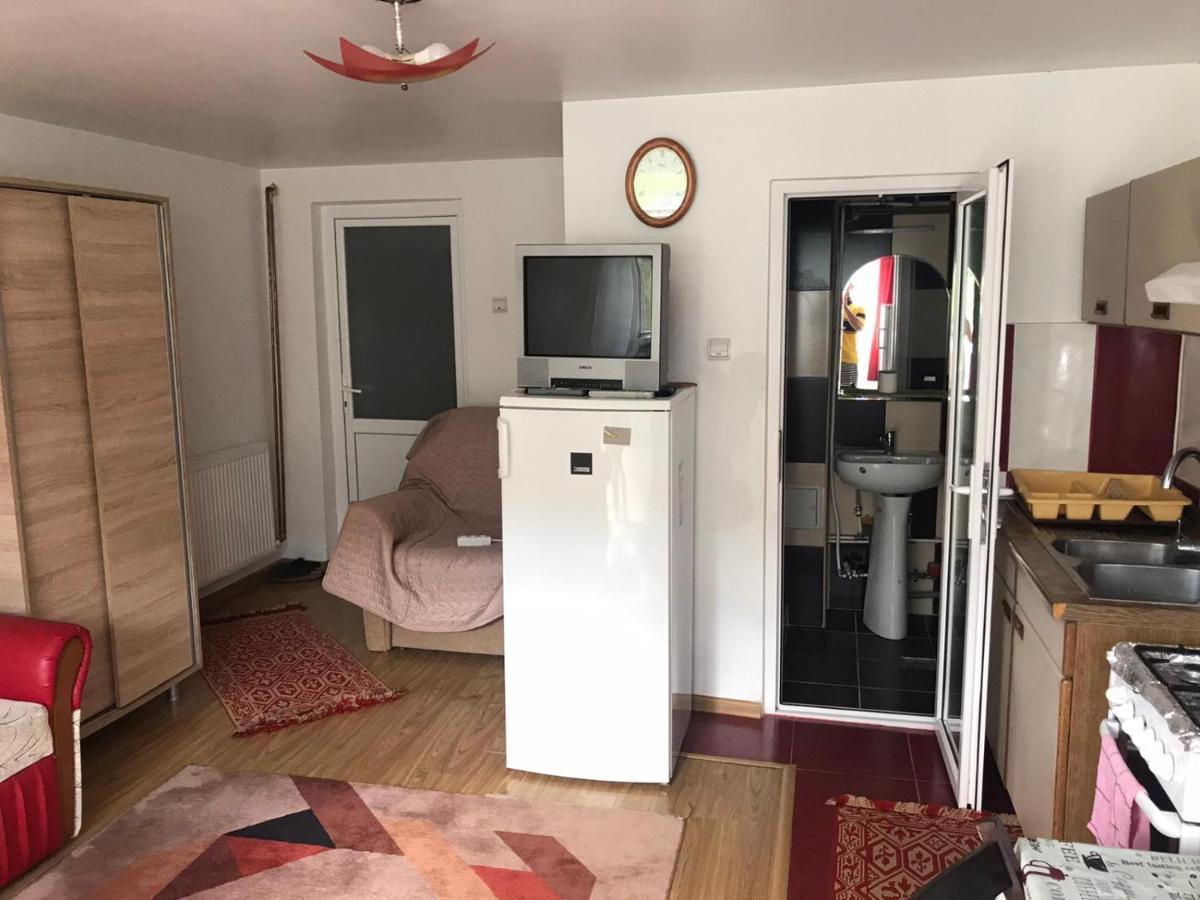 Appartement Garsoniera Lazaroiu à Băile Govora Extérieur photo